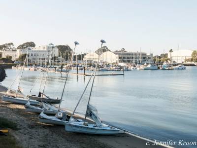 b2ap3_thumbnail_cruise-boats.jpg