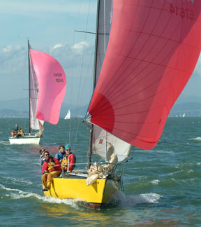 merit25